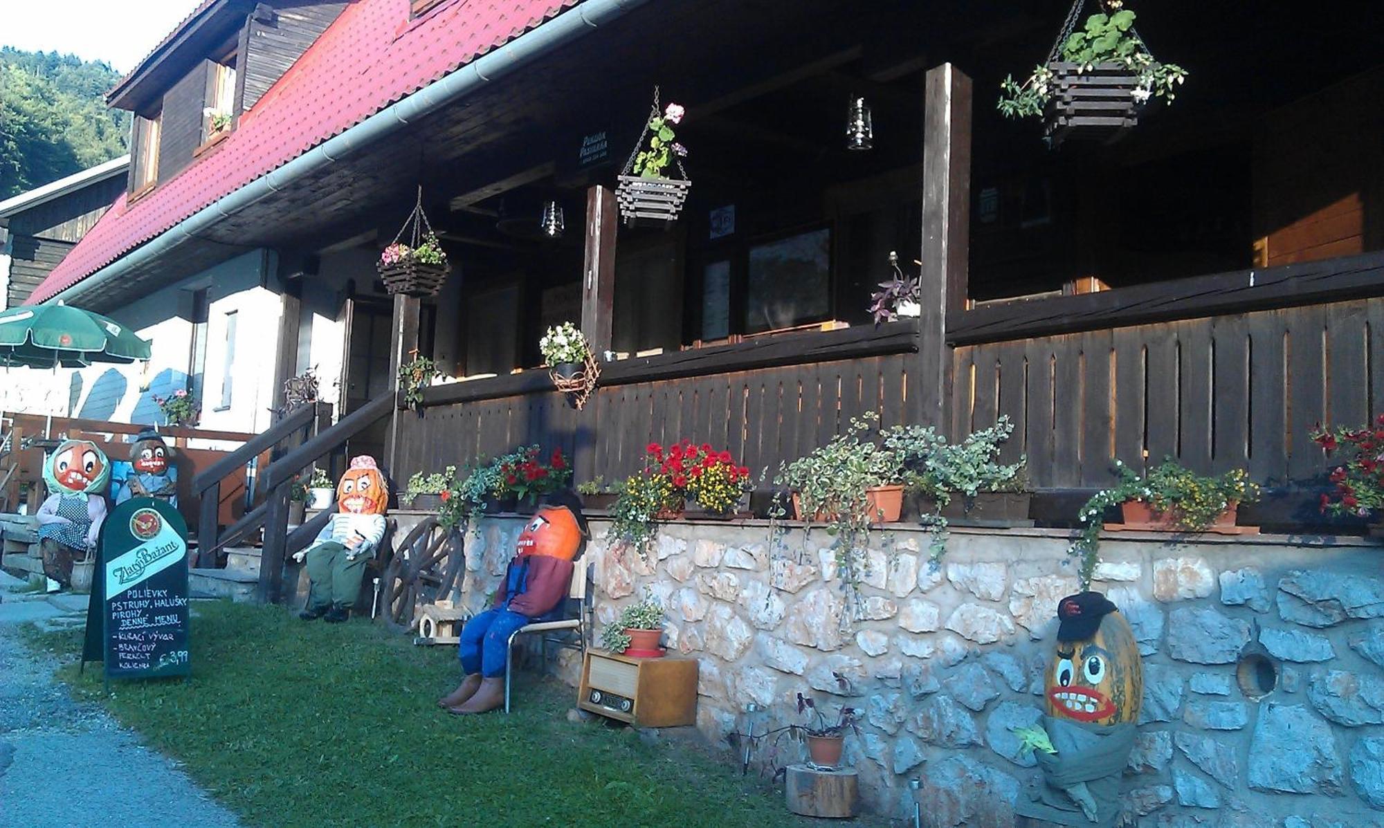 Penzion Pastierna Дединки Экстерьер фото